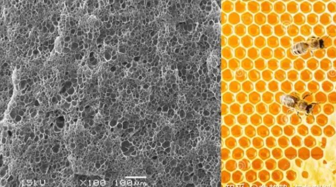 epp發(fā)泡聚丙烯的顯微結構，可以看到這是種連續閉孔結構，類(lèi)似于蜂窩